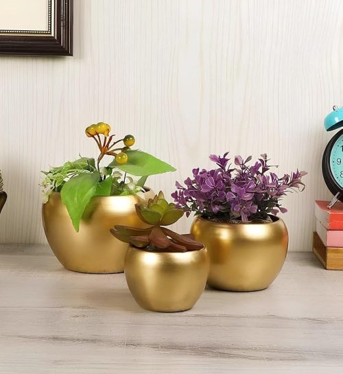 living room planters